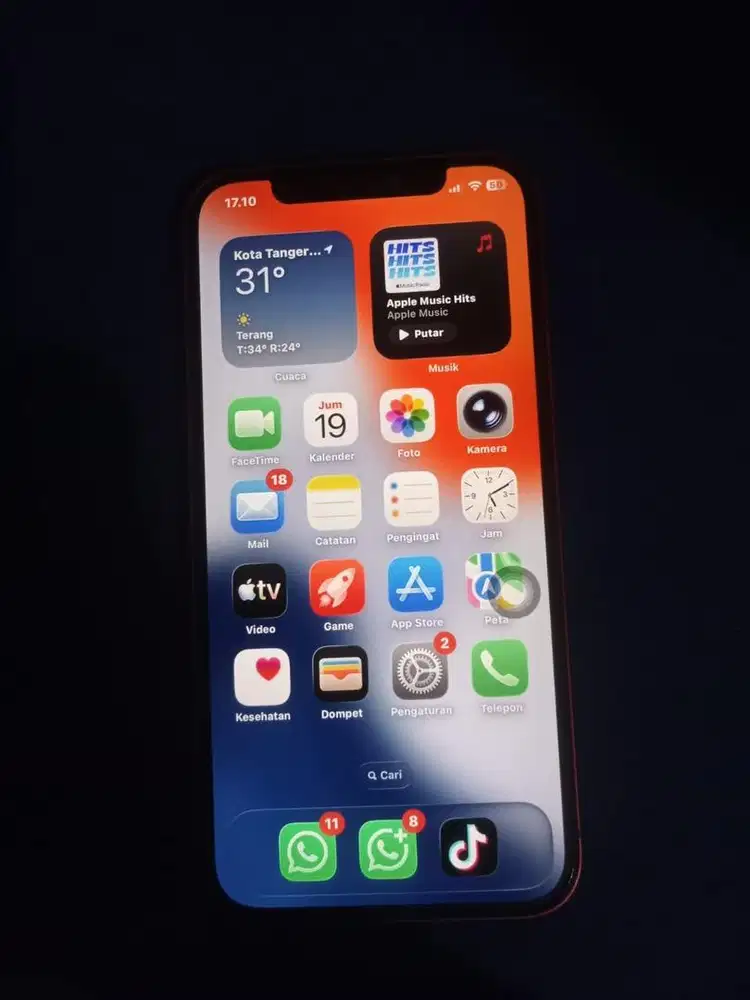Iphone 12 basic
