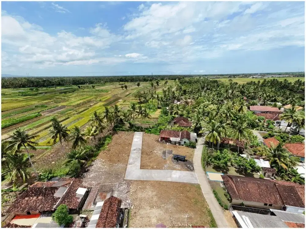 Dekat Pengadilan Agama Wates Tanah Jogja Dijual di Tawangsari