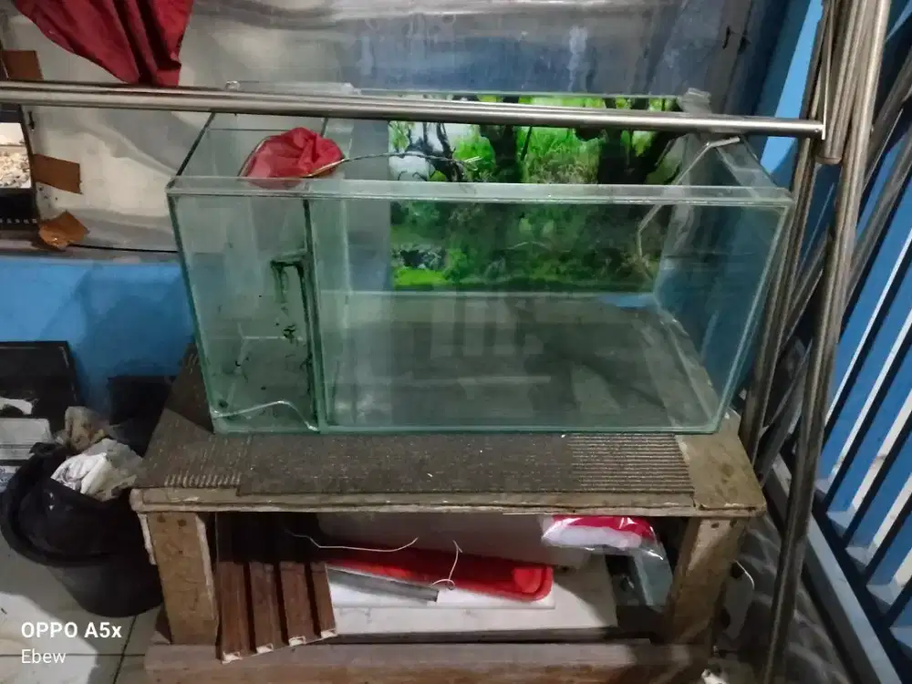 Aquarium semper Barat