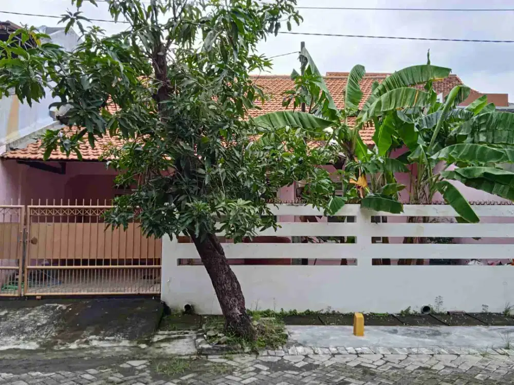 Rungkut Menanggal disewakan Murah besar siap huni - Surabaya Timur