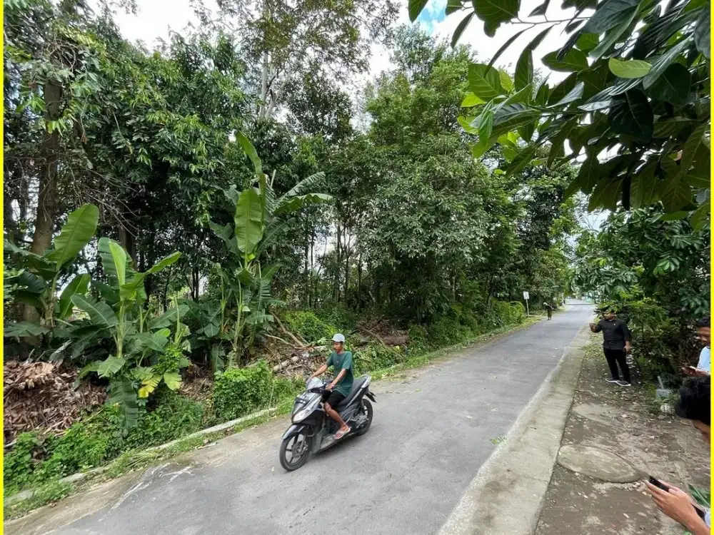 Dijual Tanah Jogja di Tirtomartani Dekat Candi Kedulan
