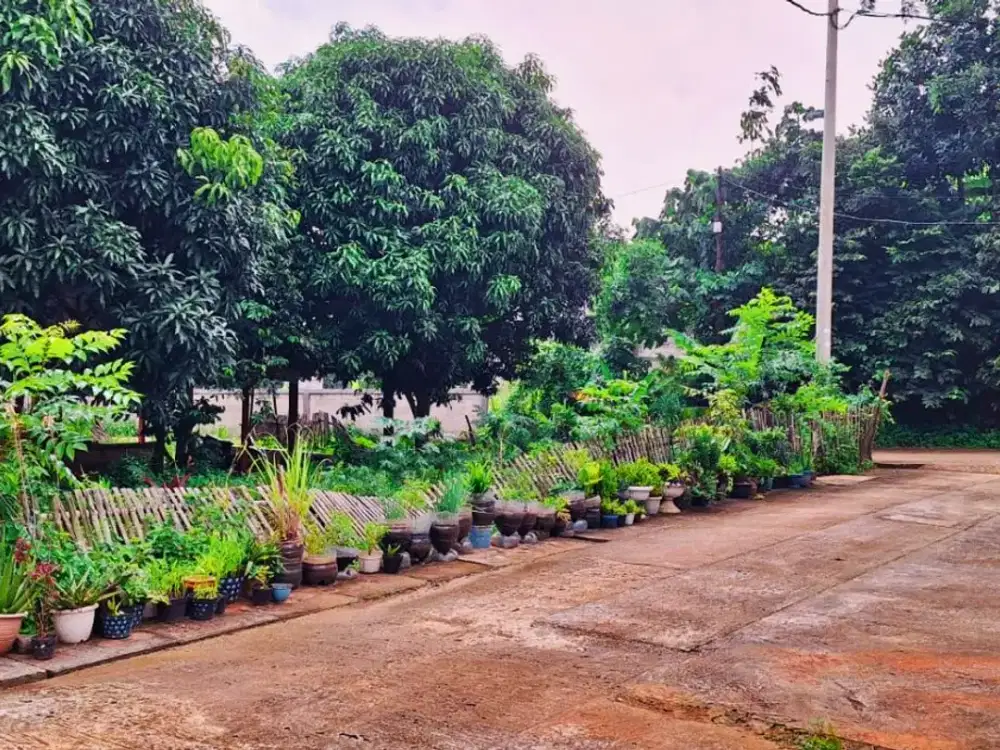 Tanah SHM Murah Dekat ke The Park Sawangan Mall