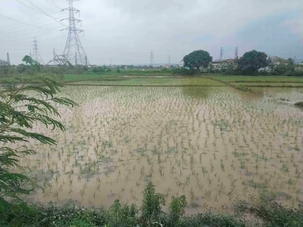 Jual Tanah di Jl Raya Kanci Cirebon