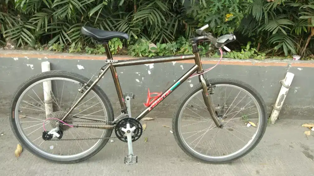 Sepeda MTB MASTER ALL Terra