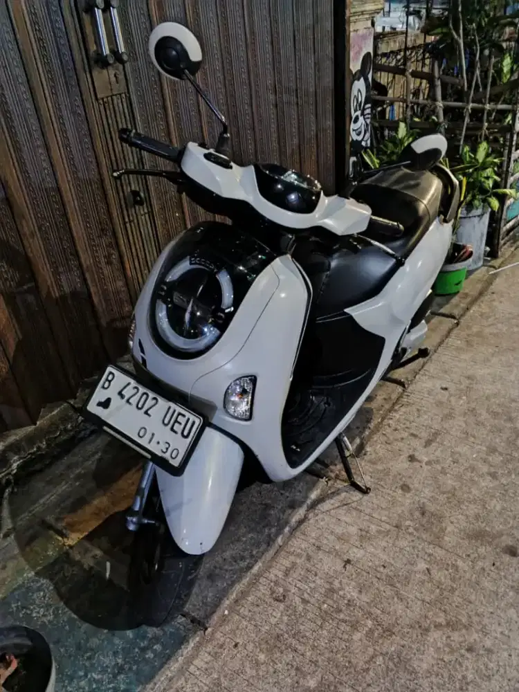 honda scoppy tg 2025