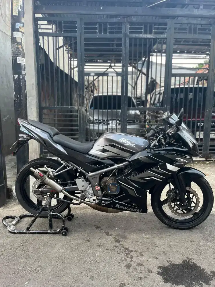 Kawasaki ninja rr 150 2015