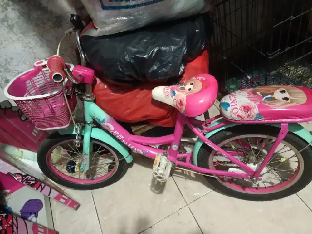 dijual cepat sepeda anak cewe