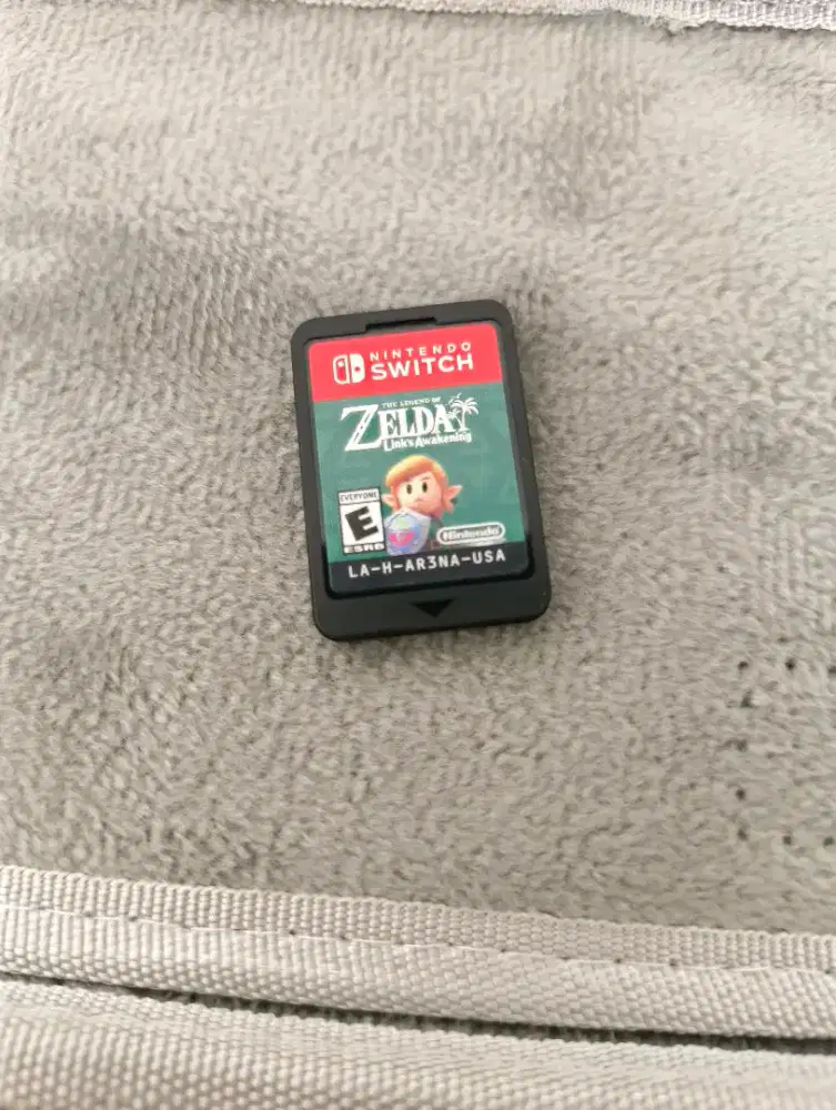 Nintendo switch zelda link's awakening