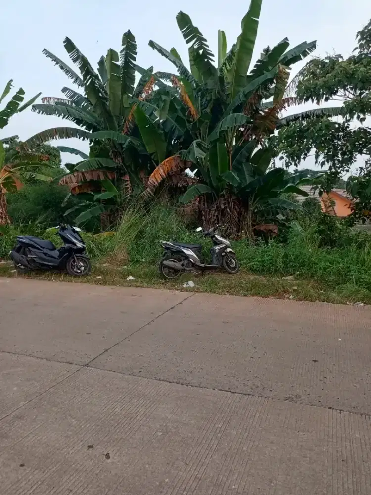 DIJUAL TANAH DI JALAN BOMANG AREA STRATEGIS PINGGIR JALAN UTAMA