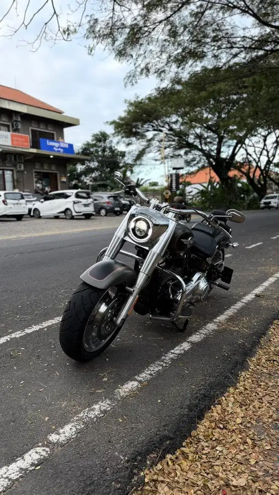 Harley Davidson Fatboy 2019 Full Paper