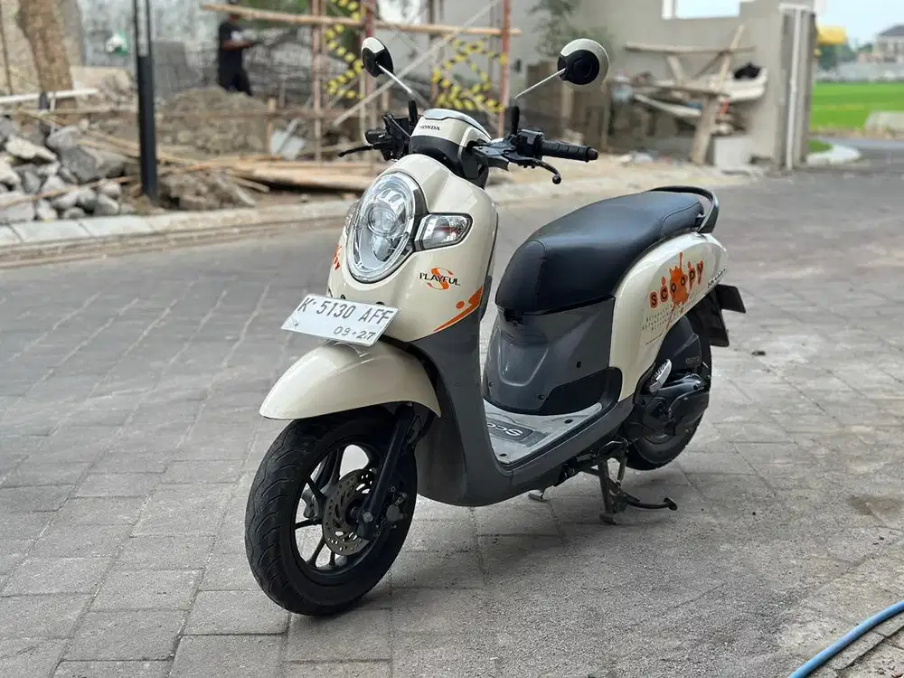 Scoopy playfull 2017