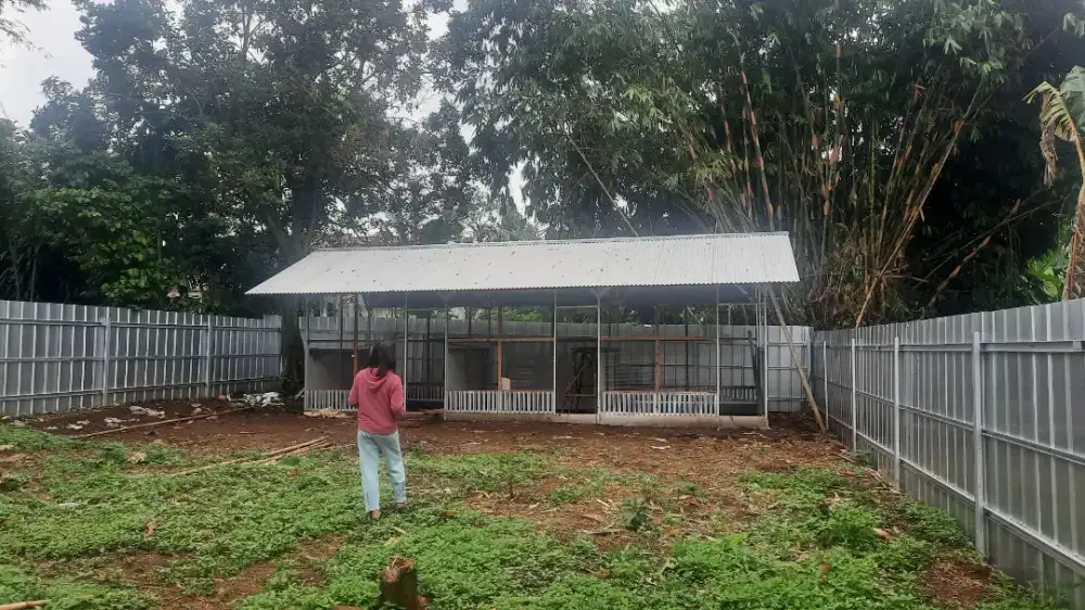 Dicari tukang kebun & ternak