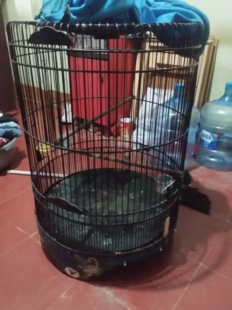 Kandang murai no 2