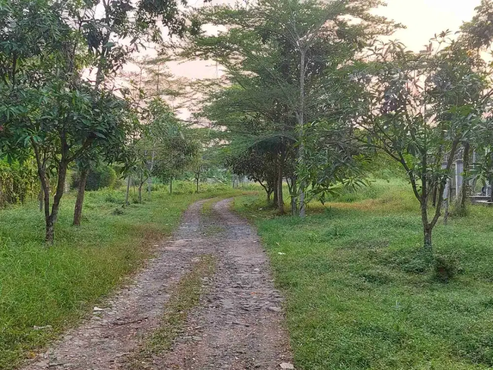 Di Jual Cepat Tanah Komersil Strategis Pinggr Jalan Raya Siap Bangun Di Tigaraksa