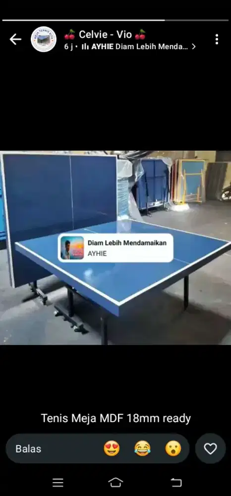Tenis meja baru SNI