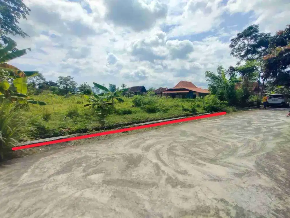 TANAH MURAH DI POKOH JL RAYA TAJEM WEDOMARTANI NGEMPLAK SLEMAN YOGYAKARTA
