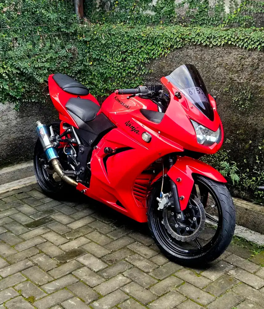 NINJA 250 KARBU GANTENG