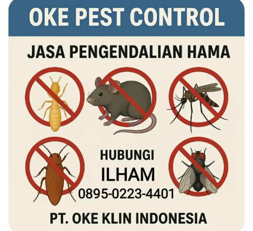 ANTI RAYAP DAN PEST CONTROL