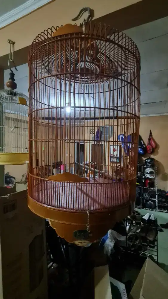 Kandang burung borongan