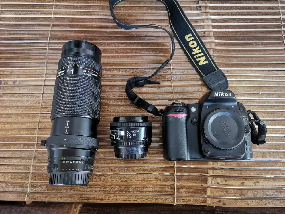 Nikon d80 + lensa