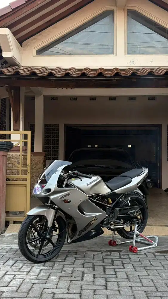 Ninja RR Old Silver