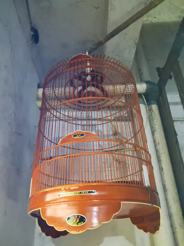 Jual kandang burung murai
