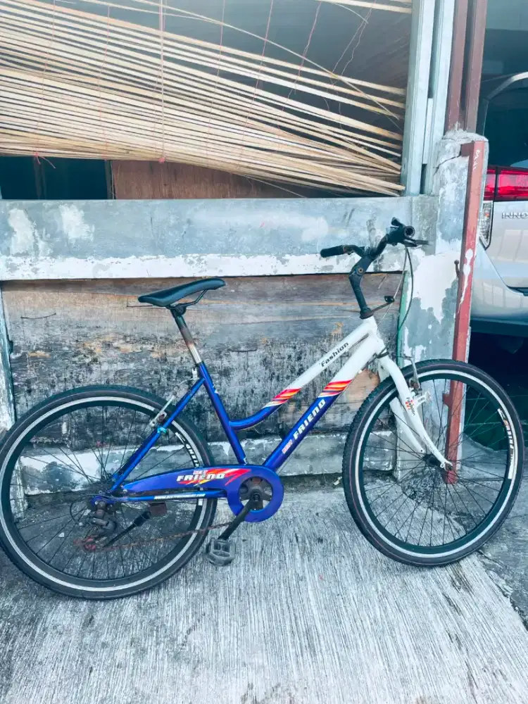 Commuter bike lady