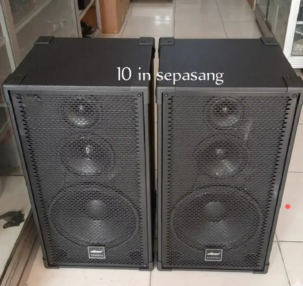 Speaker pasif 10 in