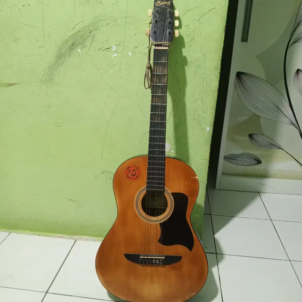 Gitar akustik skylark c-900n
