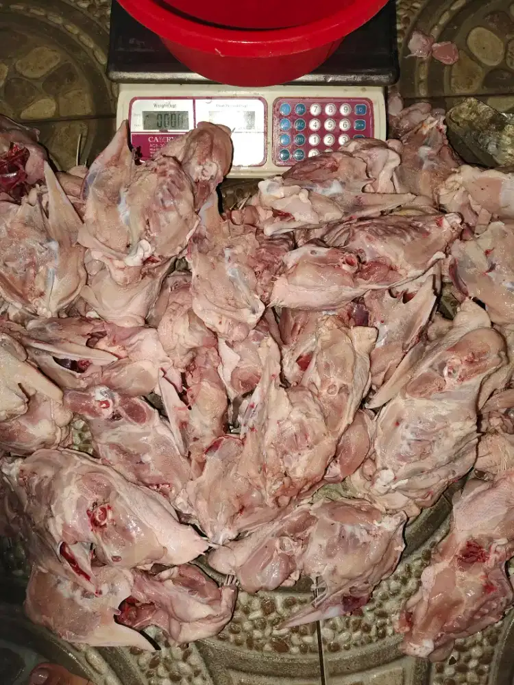 Kurir Packing daging