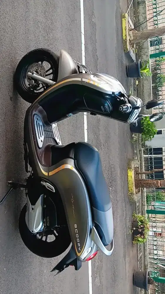 Scoopy Stylish full orisinil