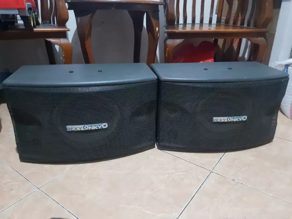 Sepasang speaker karaoke 10 inch rexy onkyo germany