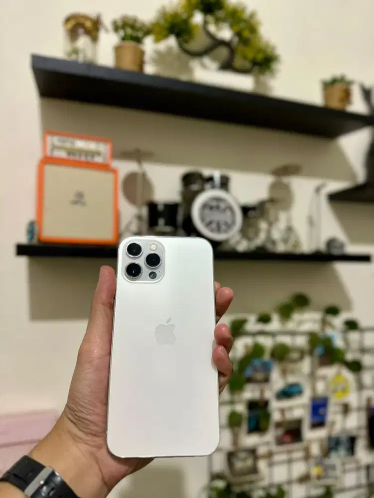 iPhone 12 Promax 256 Silver