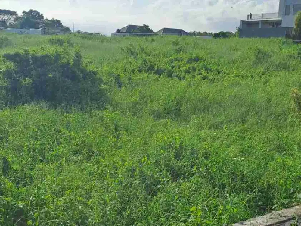 Lahan 500m² di Berawa Dekat Pantai dan Area Wisata - Thumbnail 4