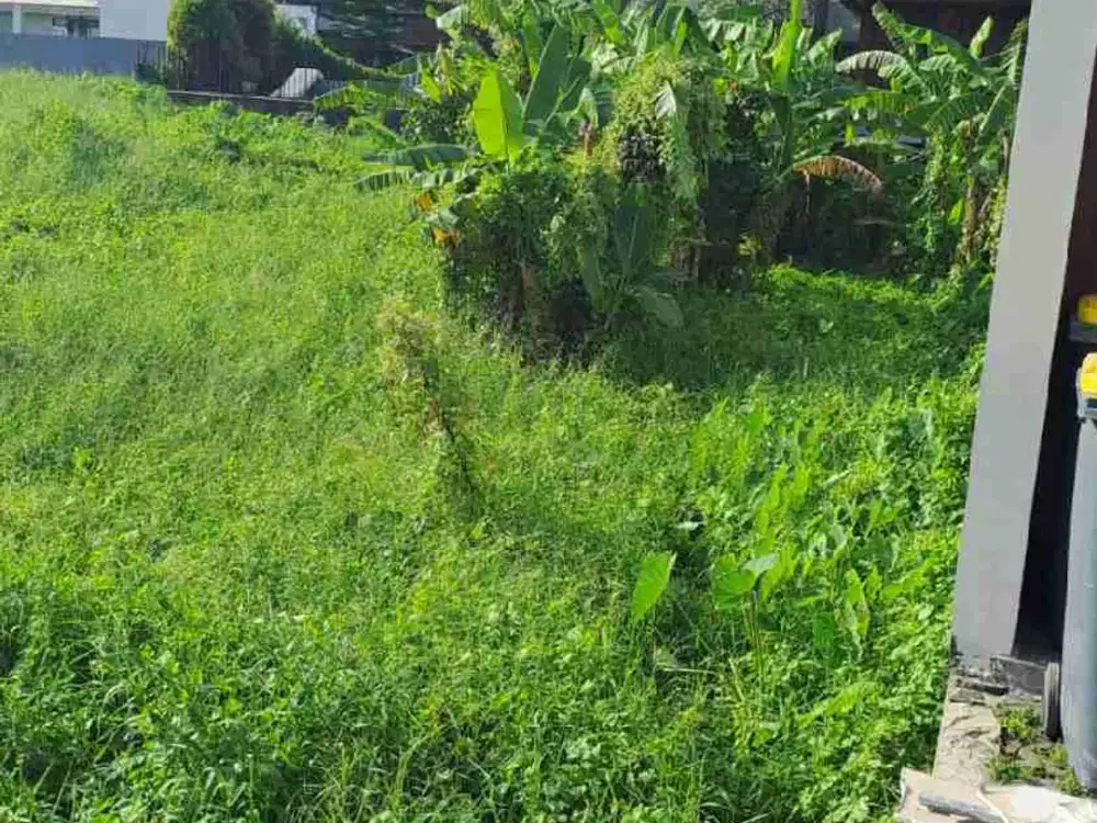 Lahan 500m² di Berawa Dekat Pantai dan Area Wisata - Thumbnail 2
