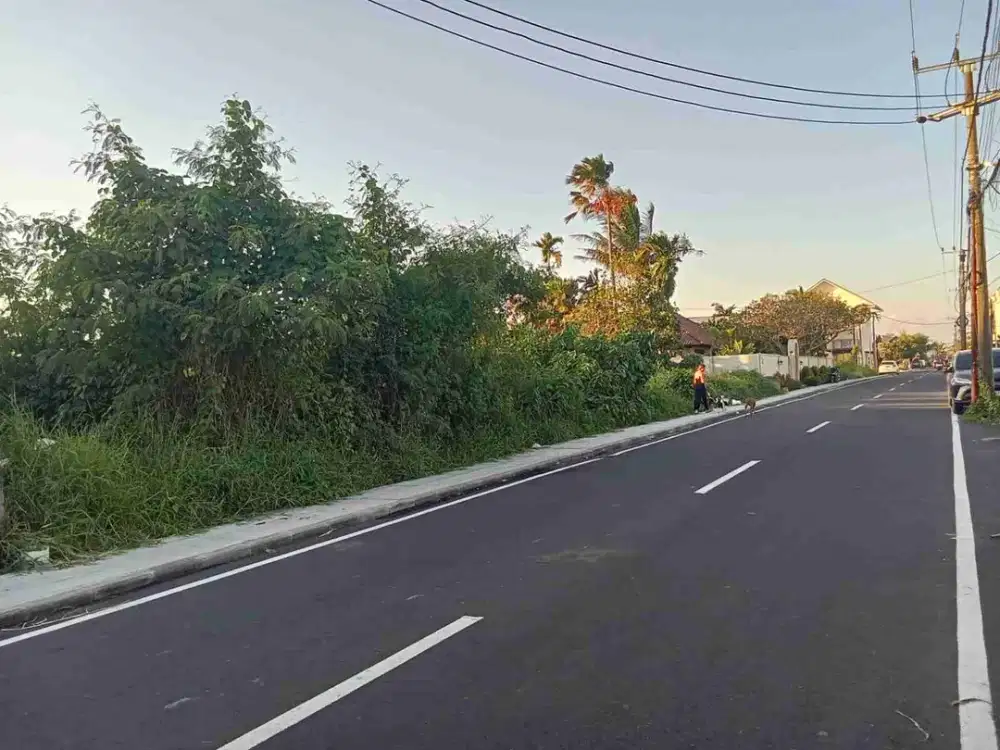 Tanah Komersial Cemagi Hanya 300 Meter ke Pantai - Thumbnail 2