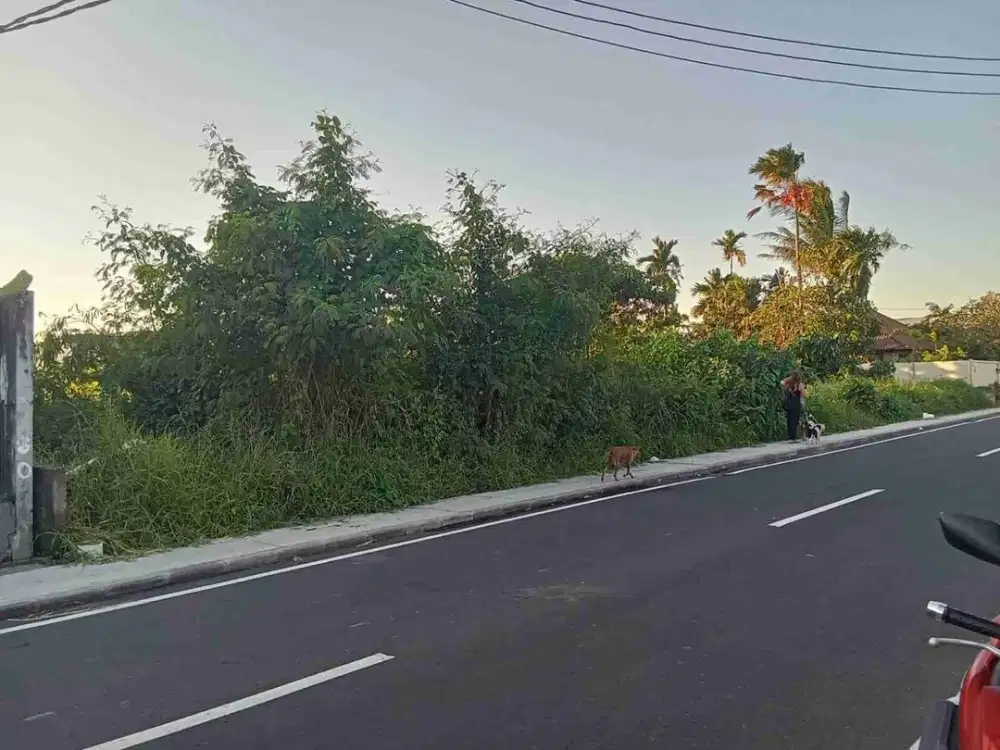 Tanah Komersial Cemagi Hanya 300 Meter ke Pantai - Thumbnail 4