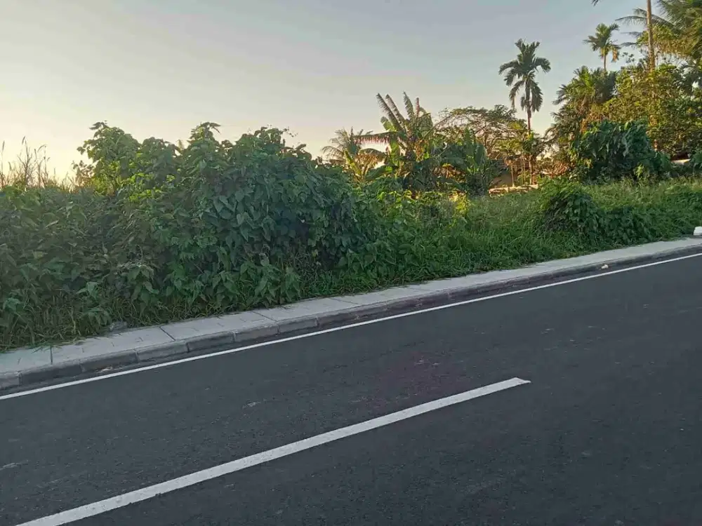 Tanah Komersial Cemagi Hanya 300 Meter ke Pantai - Thumbnail 9