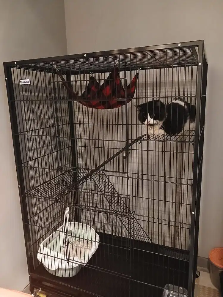 Kandang Kucing Besi AZKO baru di pake 2 minggu