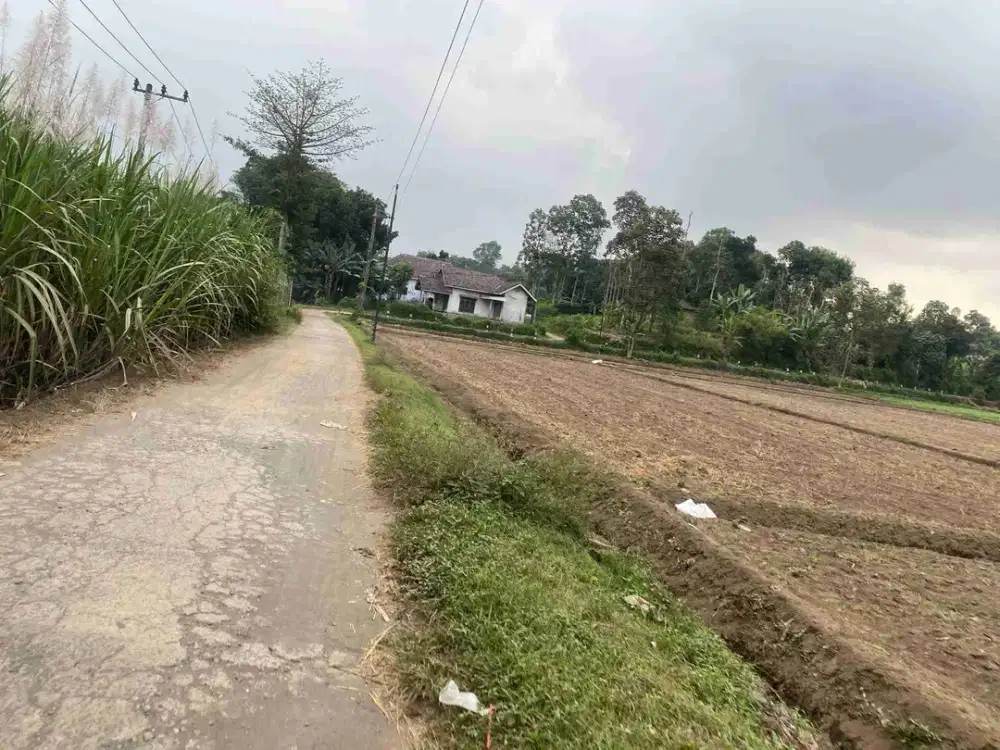Jual Tanah Pertanian Harga Murah akses mobil