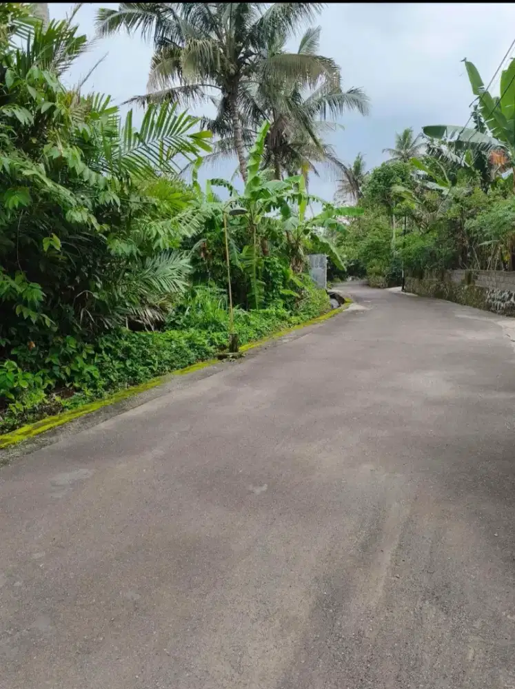 Jual tanahbluas 400m2 lebar 40 m di baratvpasar pakem jl kaliurang
