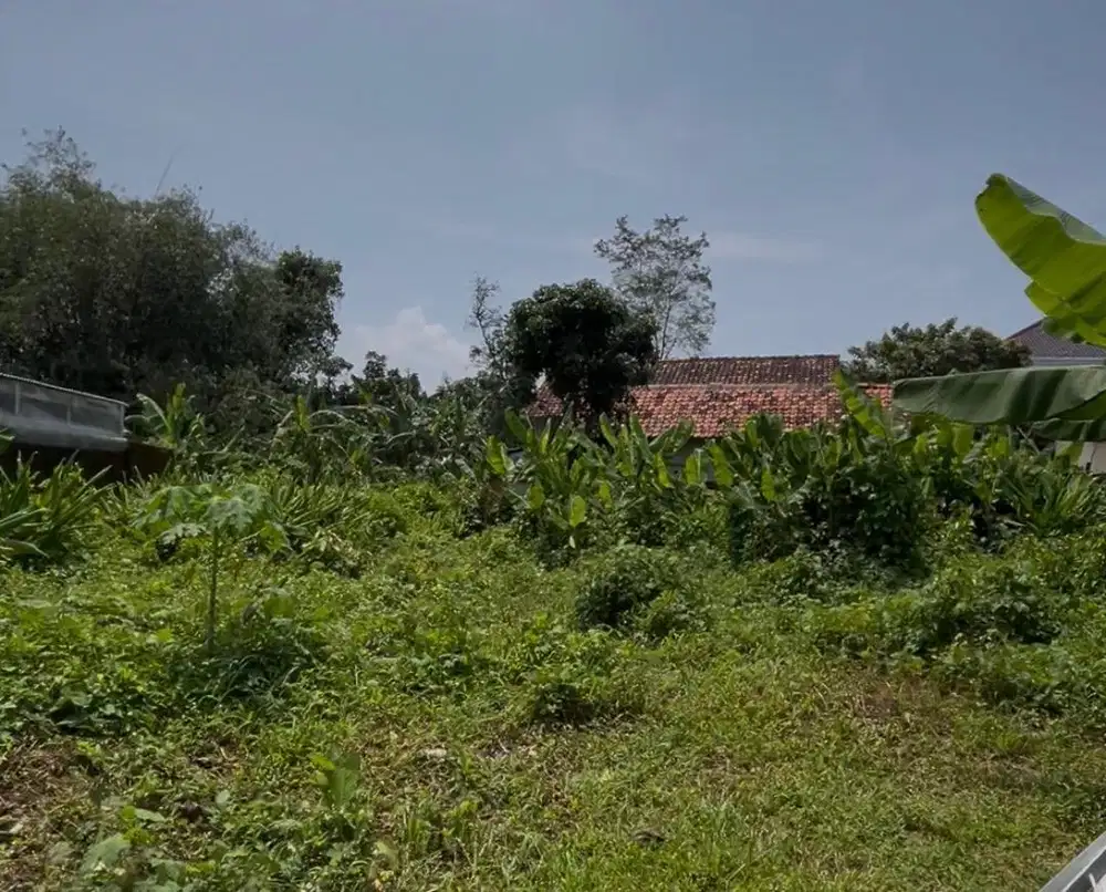 TANAH MURAH DI SUMBER