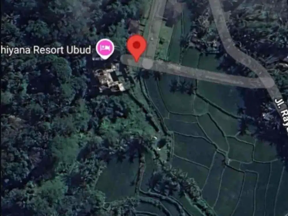 For Lease Exclusive Land Ubud - Thumbnail 4