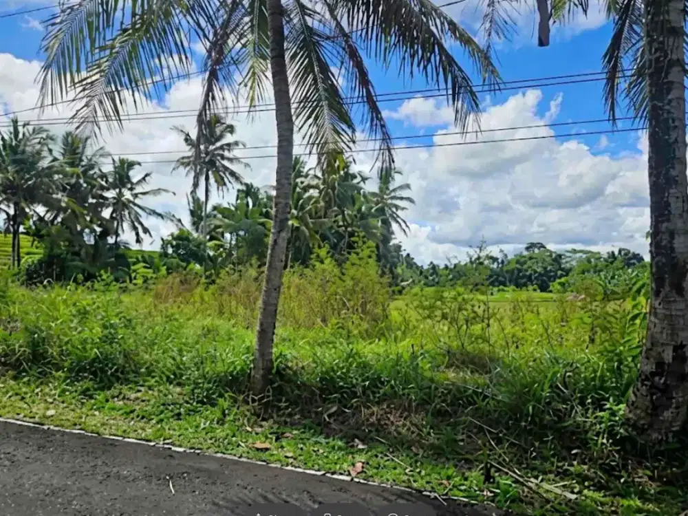 For Lease Exclusive Land Ubud - Thumbnail 6