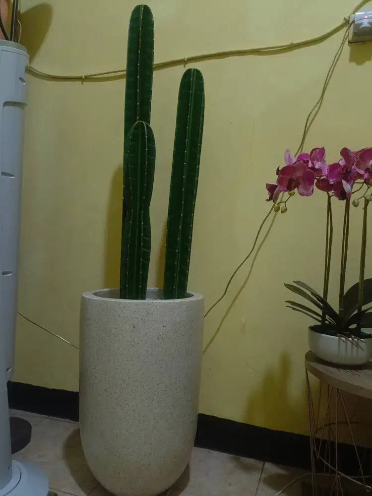 1 set Kaktus artificial, batu dan Pot teraso