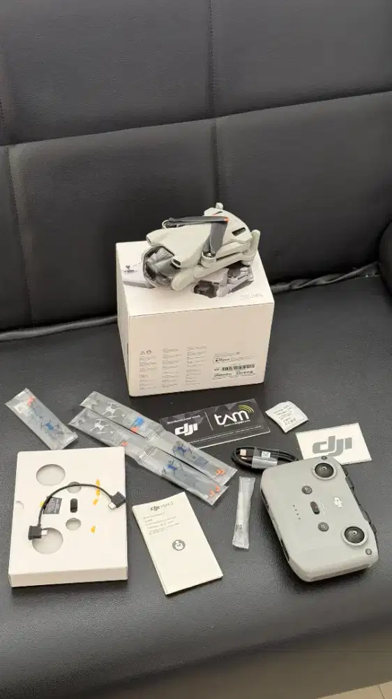 Drine DJI Mini 3 Standar