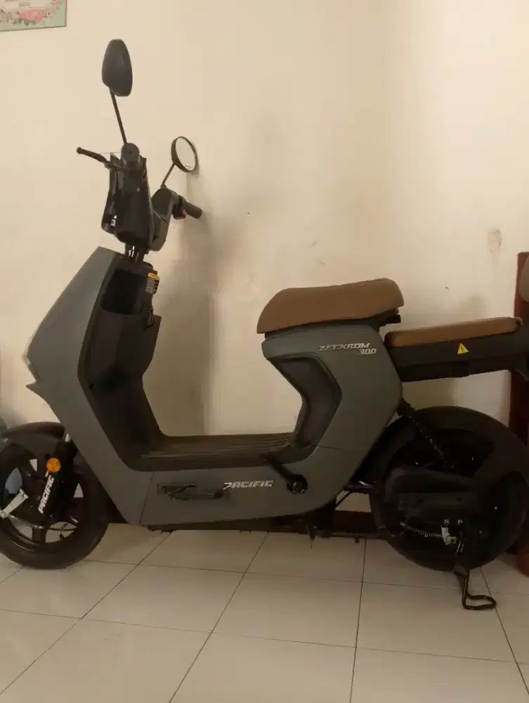 Dijual pacific zekrom 300