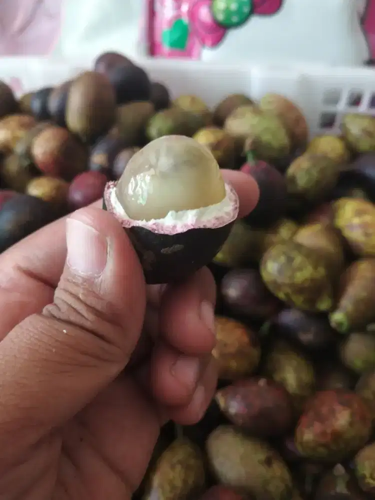 Buah matoa buah 3rasa