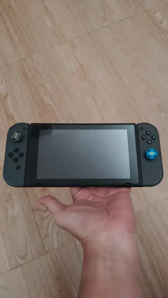 Nintendo switch v2 dual boot