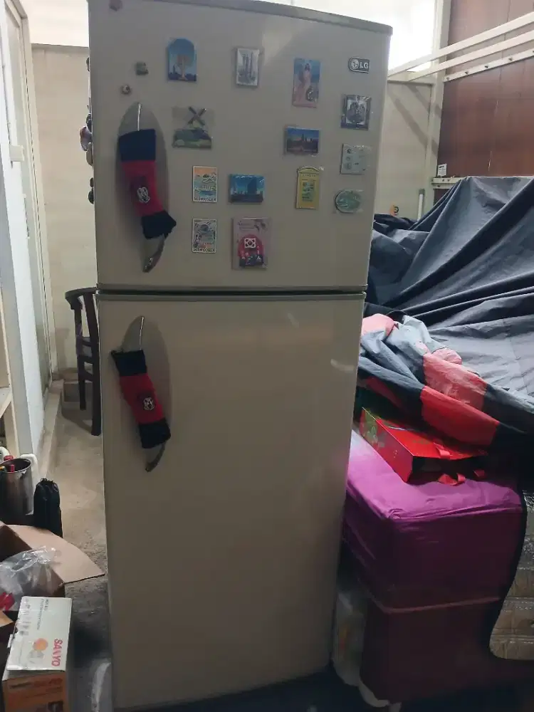 Kulkas 2 pintu 390 liter LG